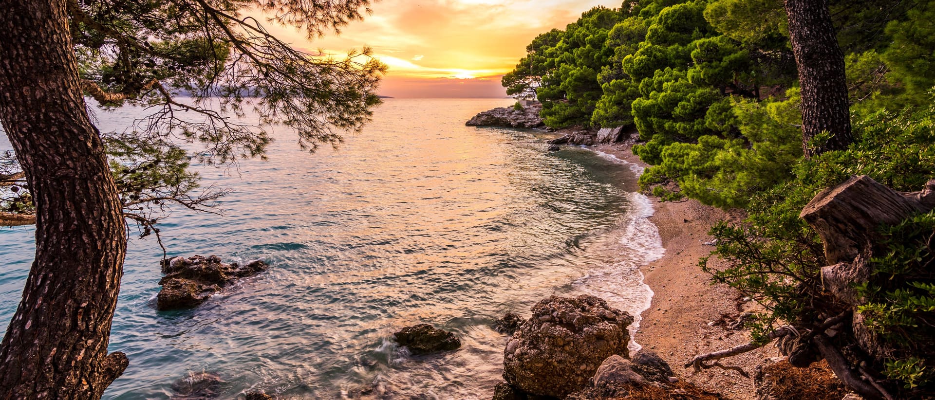 Jadranska uvala u suton, borove grane nad vodom i sunce nisko nad obzorom.